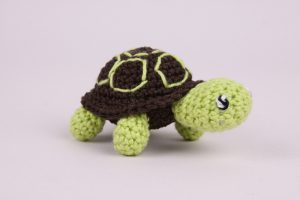 Schildpad-2