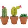 DIY Haakpakket - Cactussen