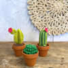 DIY Haakpakket - Cactussen - Afbeelding 5