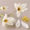 Mini Hobbyset Crêpepapier, Magnoliatak - Afbeelding 2