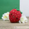 Hardicraft DIY Haakpakket Aardbei